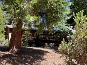 MLS #IG25168775 image #0