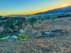 MLS #IG25170742 image #0