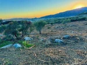 MLS #IG25170742 image #0