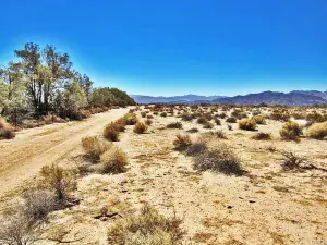 broker reciprocity