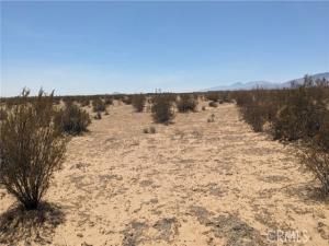 MLS #IG25175127 image #0