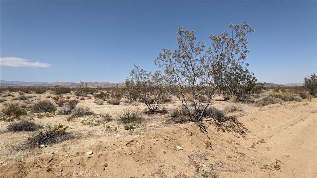 MLS #IG25183415 image #0