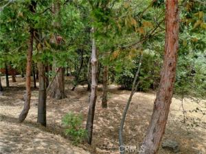27513 Meadow Bay Drive Lake Arrowhead CA 92352 | MLS #IG25184875 41 MLS #IG25184875 image #0
