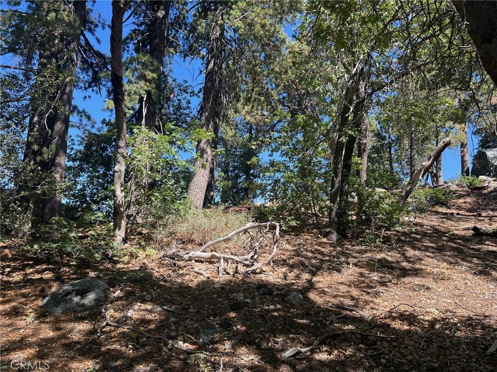 MLS #IG25192401 image #0