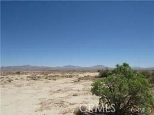 MLS #IG25192809 image #0