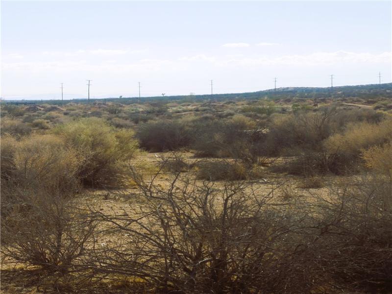 MLS #IG25217089 image #0