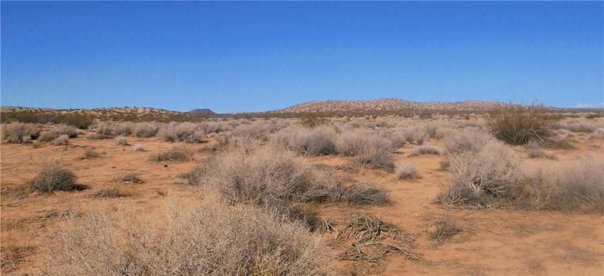 MLS #IG25217353 image #0