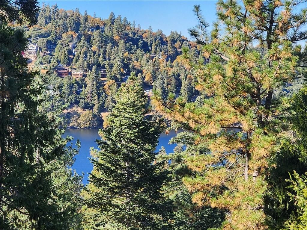 MLS #IG25226940 image #0