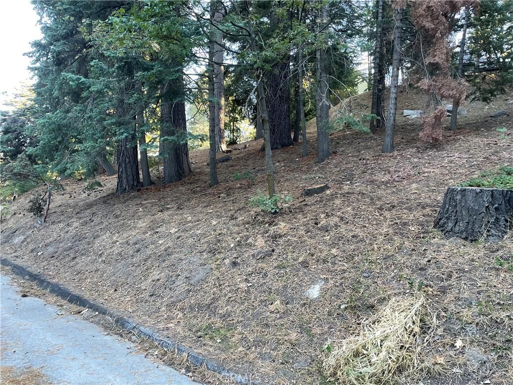 MLS #IG25228023 image #0