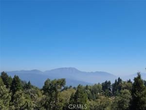 MLS #IG25229381 image #0