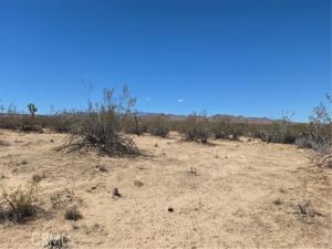 4102 Pine (Jackrabbit) Lane Landers CA 92285 | MLS #IG25237251 45 MLS #IG25237251 image #0