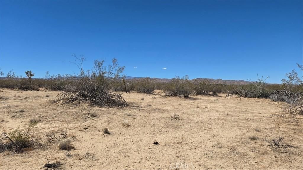 MLS #IG25237251 image #0