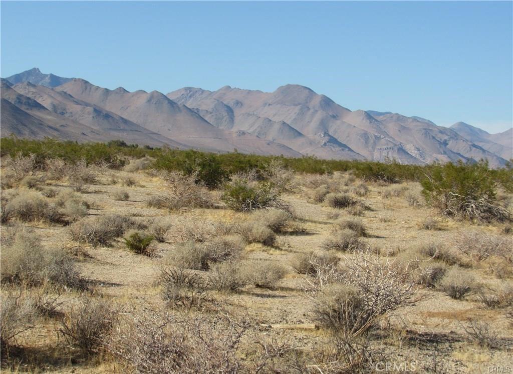 MLS #IG25244047 image #0