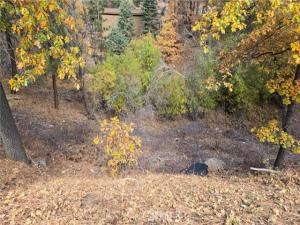 MLS #IG25251604 image #0