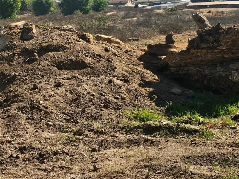 MLS #IG25253556 image #0