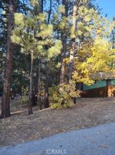 42736 Willow Avenue Big Bear Lake CA 92315 | MLS #IG25256606 45 MLS #IG25256606 image #0