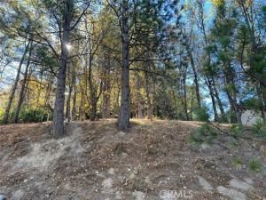 MLS #IG25258552 image #0