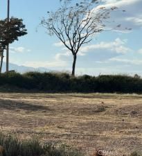 MLS #IG25259366 image #0