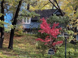 MLS #IG25261092 image #0
