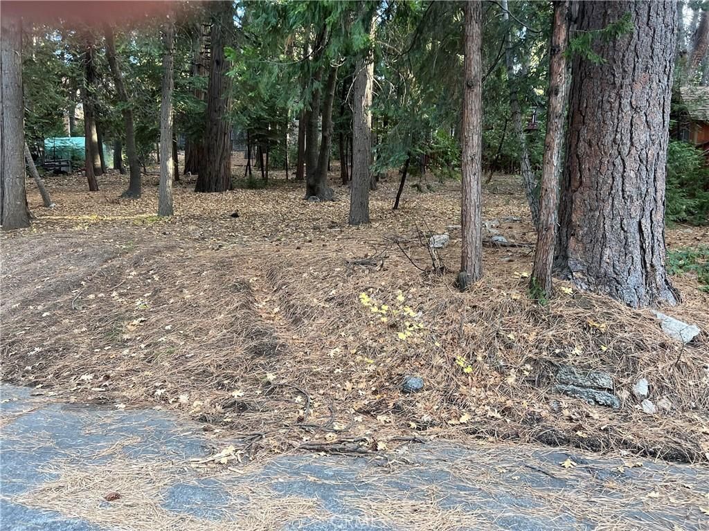 MLS #IG25267668 image #0