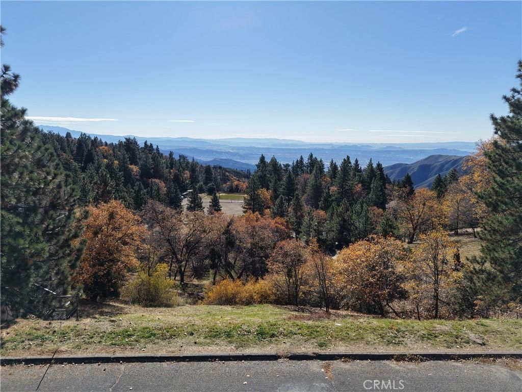 MLS #IG25271435 image #0