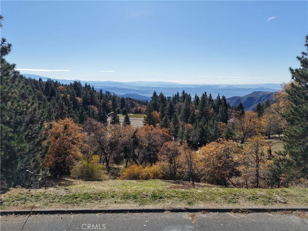 MLS #IG25271435 image #0