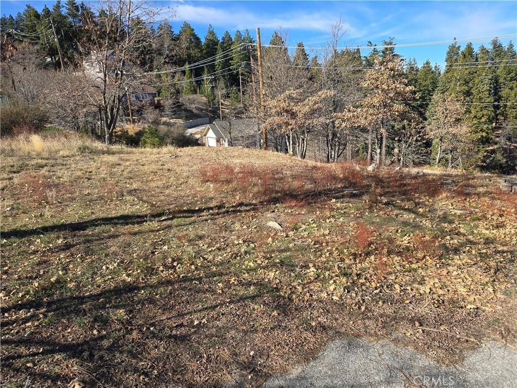 MLS #IG25277030 image #0