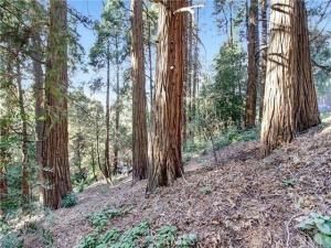 MLS #IG26000167 image #0