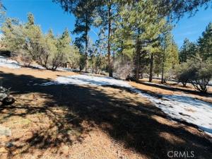 808 Antelope Mountain Drive Big Bear City CA 92314 | MLS #IG26043055 45 MLS #IG26043055 image #0