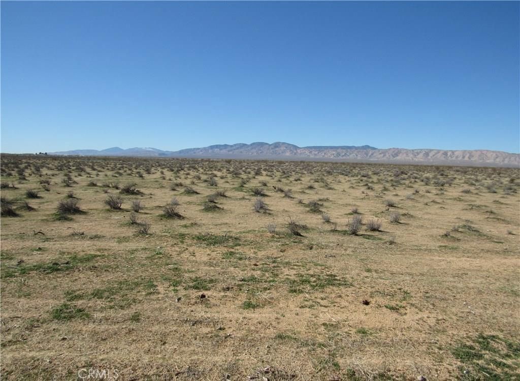 MLS #IG26048275 image #0