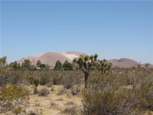 346-214-55-00-0 Gibbs Avenue Mojave CA 93501 | MLS #IG26048409 37 MLS #IG26048409 image #0