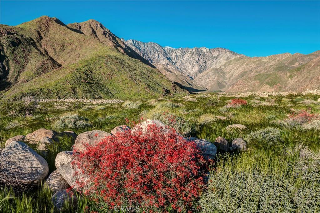 MLS #IG26063374 image #0