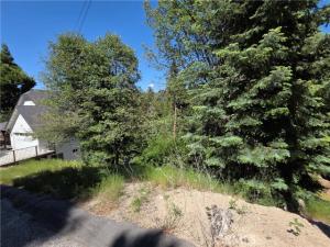 Shenandoah Drive Lot 167 Lake Arrowhead CA 92352 | MLS #IG26120379 41 MLS #IG26120379 image #0