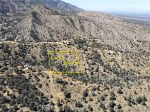 broker reciprocity