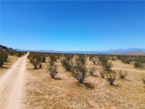 1 Candlewood Apple Valley CA 92307 | MLS #IG26163543 45 MLS #IG26163543 image #0