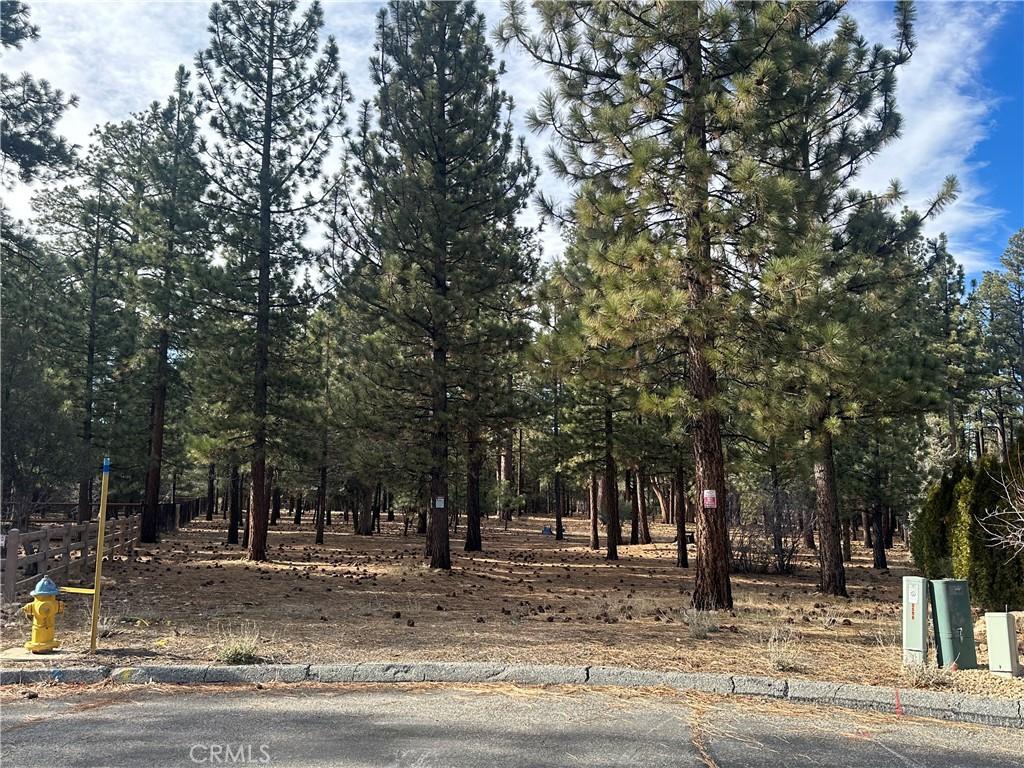 1801 Shady Big Bear City CA 92314 | MLS #IG26170326 41 MLS #IG26170326 image #0