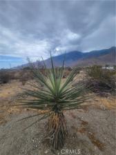 Panorama Drive Lot 351 Whitewater CA 92282 | MLS #IG26183356 45 MLS #IG26183356 image #0