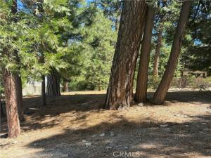 MLS #IG26193966 image #0