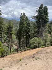 broker reciprocity