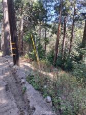 14 Burnt Mill Canyon Road Cedarpines Park CA 92322 | MLS #IG26203683 41 MLS #IG26203683 image #0