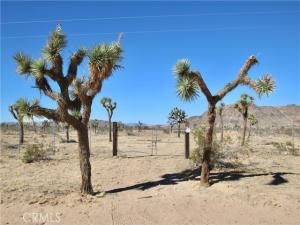 58807 Philippi Landers CA 92285 | MLS #IG26225779 45 MLS #IG26225779 image #0