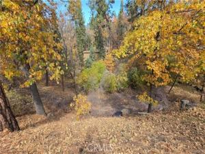1000 Butte Avenue Big Bear CA 92314 | MLS #IG26229124 45 MLS #IG26229124 image #0
