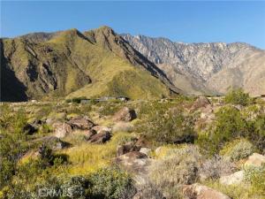 MLS #IG26230899 image #0