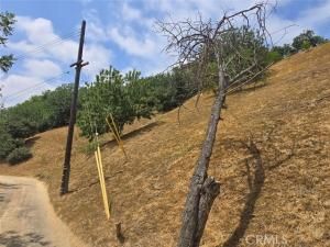 MLS #IN25158251 image #0