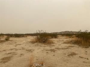 MLS #IN25240259 image #0