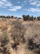 MLS #IV21193277 image #0