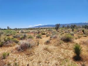 MLS #IV24104605 image #0