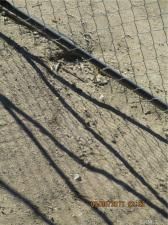 MLS #IV25015930 image #0