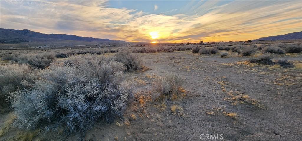 MLS #IV25049226 img 0