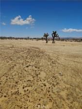 MLS #IV25106398 image #0